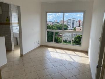 Apartamento padrão, Jardim Palma Travassos, Zona Leste, Ribeirão Preto SP