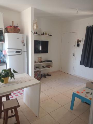 Apartamento / Padrão em Ribeirão Preto/SP 