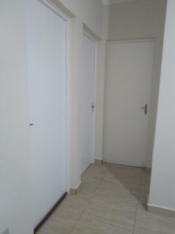 Alugar Apartamento / Padrão em Ribeirão Preto R$ 500,00 - Foto 1 Alugar Apartamento / Padrão em Ribeirão Preto R$ 500,00 - Foto 1