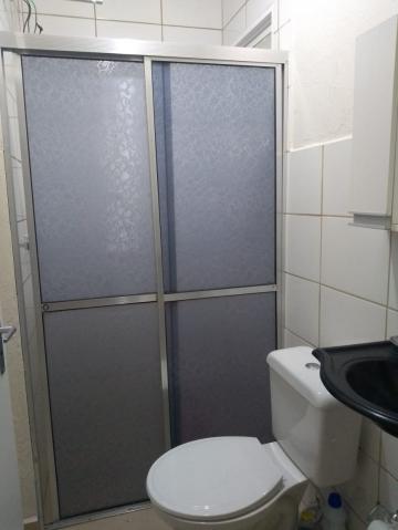 Alugar Apartamento / Padrão em Ribeirão Preto R$ 500,00 - Foto 5 Alugar Apartamento / Padrão em Ribeirão Preto R$ 500,00 - Foto 5