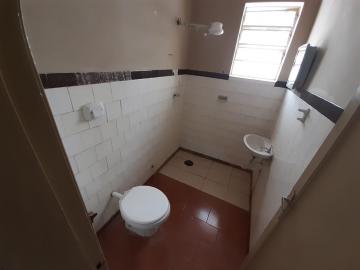 Alugar Casa / Padrão em Ribeirão Preto R$ 800,00 - Foto 5 Alugar Casa / Padrão em Ribeirão Preto R$ 800,00 - Foto 5