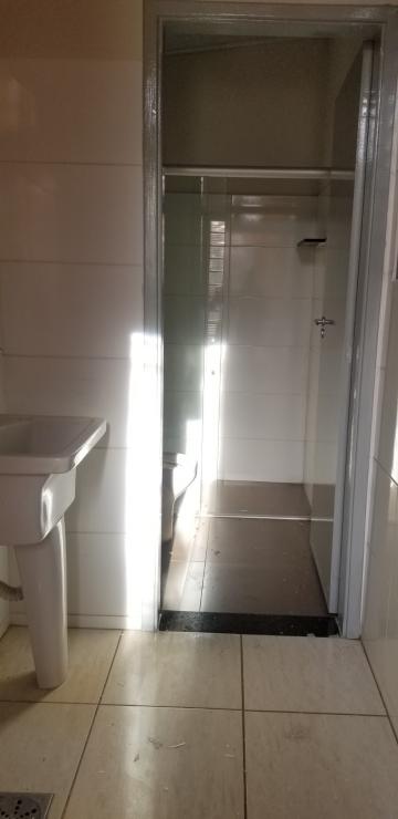 Alugar Casa / Padrão em Ribeirão Preto R$ 700,00 - Foto 15 Alugar Casa / Padrão em Ribeirão Preto R$ 700,00 - Foto 15