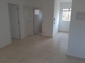 Alugar Apartamento / Padrão em Ribeirão Preto. apenas R$ 900,00