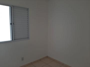 imagem 3 - Apartamento - Padrão imagem 3 - Apartamento - Padrão