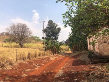 Comprar Rural / Sítio em Jardinópolis R$ 1.600.000,00 - Foto 10 Comprar Rural / Sítio em Jardinópolis R$ 1.600.000,00 - Foto 10