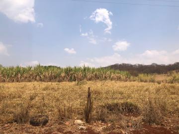 Comprar Rural / Sítio em Jardinópolis R$ 1.600.000,00 - Foto 11 Comprar Rural / Sítio em Jardinópolis R$ 1.600.000,00 - Foto 11