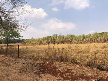 Comprar Rural / Sítio em Jardinópolis R$ 1.600.000,00 - Foto 12 Comprar Rural / Sítio em Jardinópolis R$ 1.600.000,00 - Foto 12
