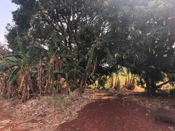 Comprar Rural / Sítio em Jardinópolis R$ 1.600.000,00 - Foto 17 Comprar Rural / Sítio em Jardinópolis R$ 1.600.000,00 - Foto 17