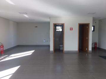 imagem 5 - Salão comercial com 232 m² no Bairro Jardim Califórnia, Zona Sul de Ribeirão Preto/SP. imagem 5 - Salão comercial com 232 m² no Bairro Jardim Califórnia, Zona Sul de Ribeirão Preto/SP.