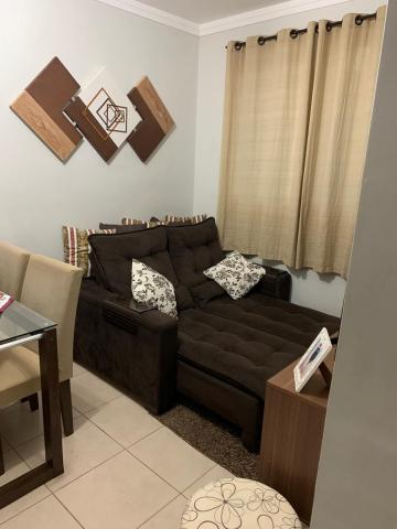 Alugar Apartamento / Padrão em Ribeirão Preto. apenas R$ 372.000,00