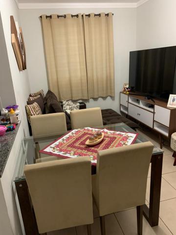 imagem 3 - Apartamento - Padrão imagem 3 - Apartamento - Padrão