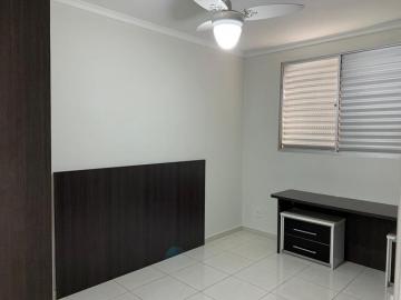 imagem 3 - Apartamento - Cobertura imagem 3 - Apartamento - Cobertura