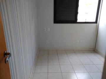 imagem 4 - Apartamento - Padrão imagem 4 - Apartamento - Padrão