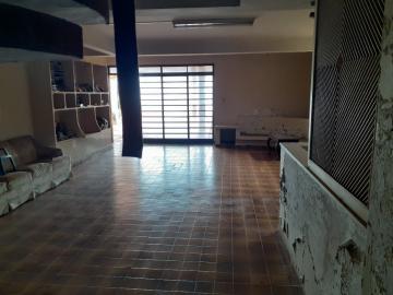 imagem 4 - Casa - Padrão imagem 4 - Casa - Padrão