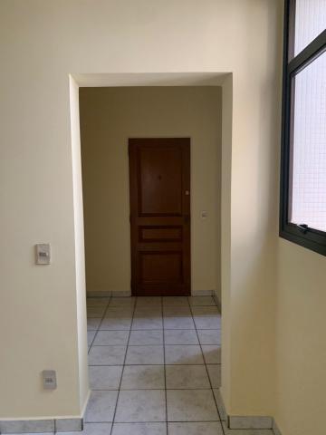 imagem 3 - Apartamento - Padrão imagem 3 - Apartamento - Padrão