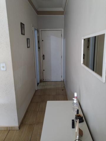 imagem 2 - Apartamento - Padrão imagem 2 - Apartamento - Padrão