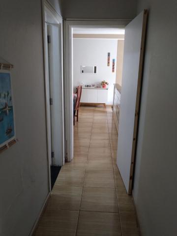 imagem 3 - Apartamento - Padrão imagem 3 - Apartamento - Padrão