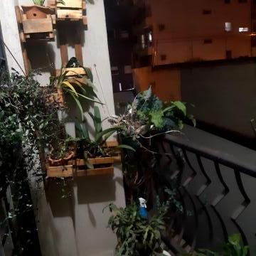 imagem 2 - Apartamento - Padrão imagem 2 - Apartamento - Padrão