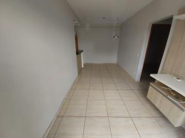 imagem 5 - Apartamento - Padrão imagem 5 - Apartamento - Padrão