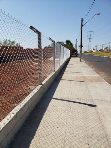 Alugar Terreno / Terreno em Ribeirão Preto. apenas R$ 350.000,00