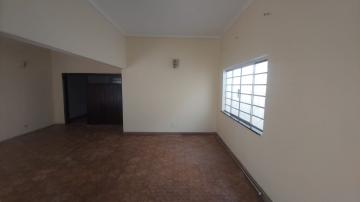 imagem 4 - Casa - Padrão imagem 4 - Casa - Padrão