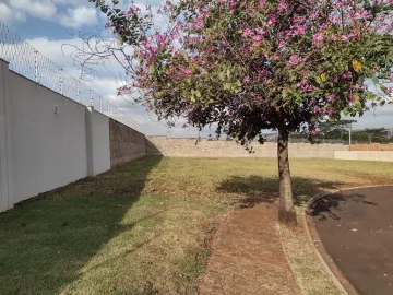 Alugar Terreno / Condomínio em Ribeirão Preto. apenas R$ 610.000,00