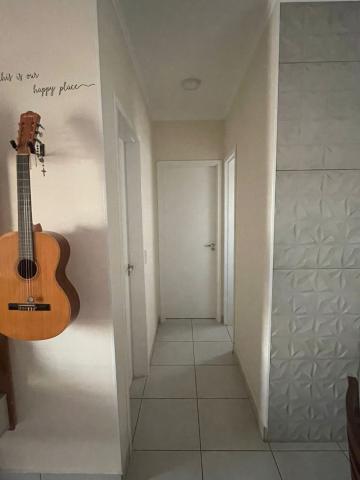 imagem 2 - Apartamento - Padrão imagem 2 - Apartamento - Padrão
