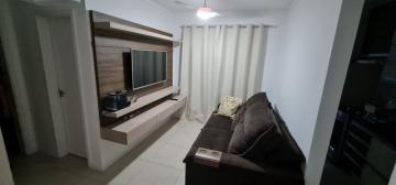 imagem 1 - Apartamento padrão mobiliado, Jardim Botânico, Zona Sul, região Parque Raia, Ribeirão Preto/SP imagem 1 - Apartamento padrão mobiliado, Jardim Botânico, Zona Sul, região Parque Raia, Ribeirão Preto/SP