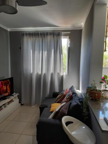 imagem 1 - Apartamento - Padrão imagem 1 - Apartamento - Padrão