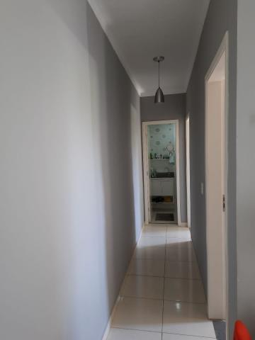 imagem 3 - Apartamento - Padrão imagem 3 - Apartamento - Padrão