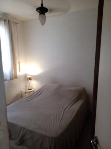imagem 4 - Apartamento - Padrão imagem 4 - Apartamento - Padrão