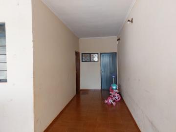 imagem 4 - Casa - Padrão imagem 4 - Casa - Padrão