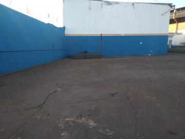 imagem 4 - Terreno - Terreno imagem 4 - Terreno - Terreno