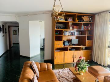 imagem 3 - Apartamento - Padrão imagem 3 - Apartamento - Padrão