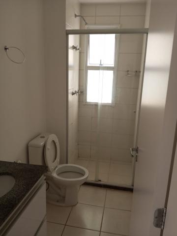 imagem 3 - Apartamento - Padrão imagem 3 - Apartamento - Padrão