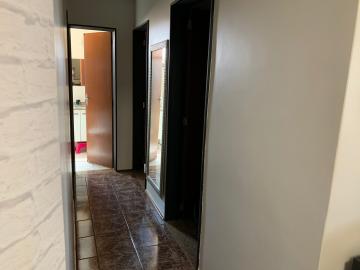 imagem 4 - Apartamento - Padrão imagem 4 - Apartamento - Padrão