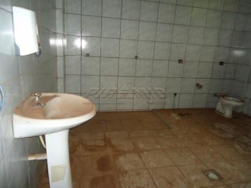 imagem 5 - Otimo salão imagem 5 - Otimo salão