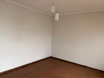 imagem 5 - Casa / Padrão - Jardim São  Luiz - Vendas - Mista - Ribeirão Preto SP imagem 5 - Casa / Padrão - Jardim São  Luiz - Vendas - Mista - Ribeirão Preto SP