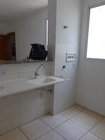 Apartamento Padrão, Conjunto Habitacional Sílvio Passalacqua, (Zona Norte), Ribeirão Preto/SP