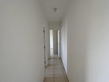 imagem 5 - Apartamento - Padrão imagem 5 - Apartamento - Padrão