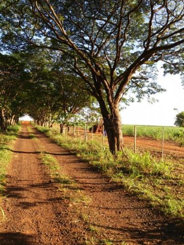 imagem 2 - Rural - Sítio imagem 2 - Rural - Sítio