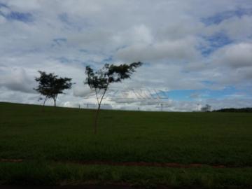 imagem 2 - Área Comercial, Industrial ou Residencial- Anel Viario Norte- Ribeirão Preto- SP imagem 2 - Área Comercial, Industrial ou Residencial- Anel Viario Norte- Ribeirão Preto- SP