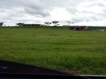 imagem 4 - Área Comercial, Industrial ou Residencial- Anel Viario Norte- Ribeirão Preto- SP imagem 4 - Área Comercial, Industrial ou Residencial- Anel Viario Norte- Ribeirão Preto- SP