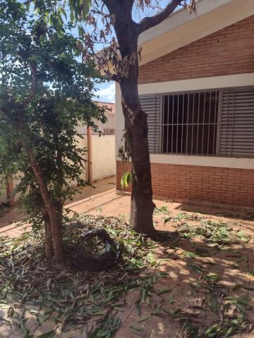 imagem 2 - Casa - Padrão imagem 2 - Casa - Padrão