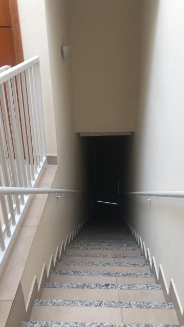 imagem 2 - Apartamento - Padrão imagem 2 - Apartamento - Padrão