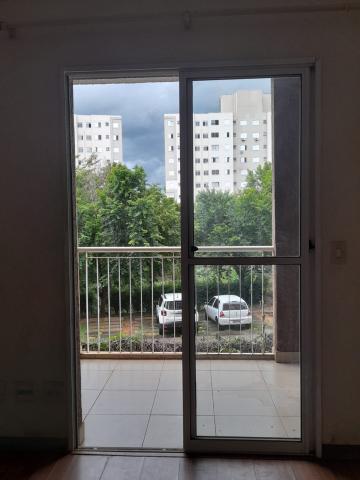 imagem 3 - Apartamento - Padrão imagem 3 - Apartamento - Padrão