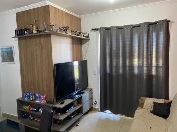 imagem 1 - Apartamento - Padrão imagem 1 - Apartamento - Padrão