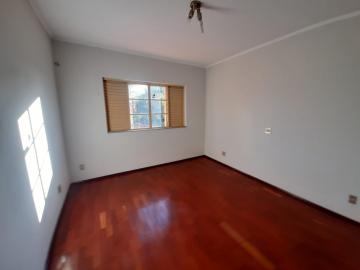 imagem 3 - Casa - Padrão imagem 3 - Casa - Padrão