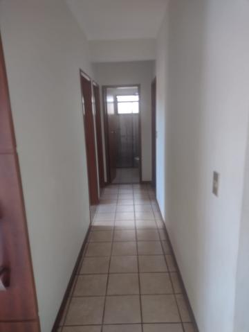 imagem 4 - Apartamento - Padrão imagem 4 - Apartamento - Padrão