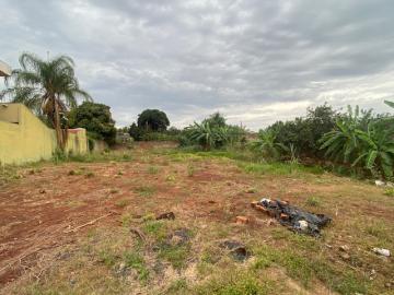 Alugar Terreno / Terreno em Ribeirão Preto. apenas R$ 850.000,00